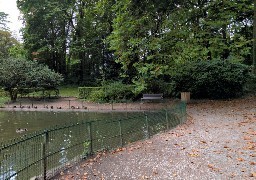 Saint-Omer: un jeune migrant tué au couteau dans un jardin public