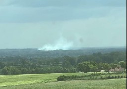 Vaste incendie dans un bois communal situé entre Merlimont et Stella-plage