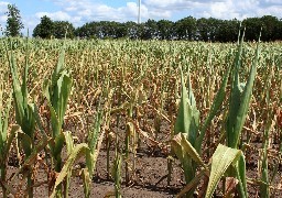 La vigilance sécheresse déclenchée pour le Département du Nord