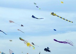 Pieuvres géantes, baleines flottantes, vol lumineux: le festival de cerfs-volants de Cayeux, c'est ce week-end !