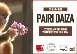 Radio 6 vous invite à Pairi Daiza 