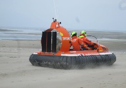 Un dauphin mort échoué en Baie d'Authie