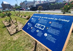 Une nouvelle Roseraie patrimoniale au Crotoy