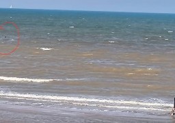 A Blériot-Plage, un aileron de requin vu devant la plage a entraîné l'évacuation de baigneurs dimanche matin ! 