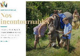 Parcourez le Haut Pays d'Opale à pied, en calèche gourmande, à vélo, accompagné de chèvres ou de votre chien ! 
