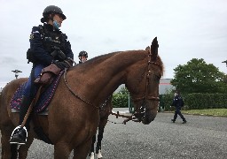 Des contrôles réalisés en Baie de Somme pour veiller à la tranquillité des phoques !