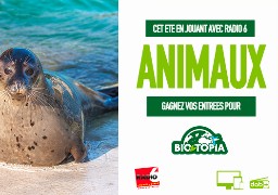 Cet été, la plage est aussi chez Bio-Topia