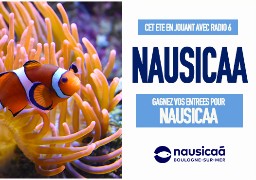 Visitez Nausicaa cet été en écoutant Radio 6