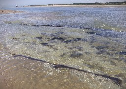 Epave du Mérida ou reste d'une digue à la pointe du nord du Touquet par marée basse ?