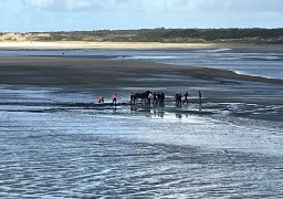Une femme envasée en Baie de Canche hier soir 