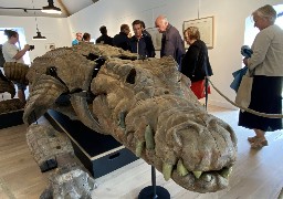 Calais : déjà 6000 visiteurs pour l'exposition « Dragon, Varan et Chimères »