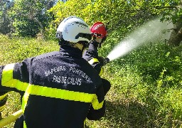 Un incendie dans la forêt d'Ecault ce vendredi soir