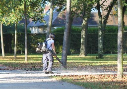 Au Touquet : soufflez les feuilles pour les ramasser, mais en silence s'il vous plait !