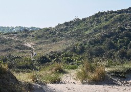 Les Dunes de Flandre sont officiellement labellisées