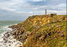 Audinghen : un homme chute de la falaise, il est gravement blessé. 