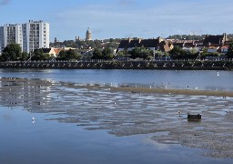 Boulonnais: le niveau de la Liane au plus bas, la sécheresse inquiète