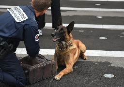 Montreuillois : Y a-t-il eu une tentative de suicide à Contes ?