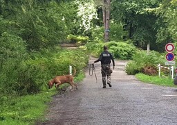 Berck : disparition inquiétante d'une femme de 83 ans, des recherches menées pour la retrouver