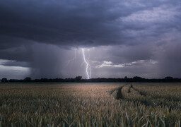 Vigilance orages et pluie-inondation dès cet après-midi