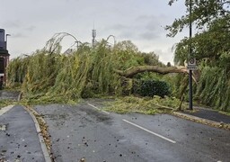 Quel bilan de la tempête Benjamin dans la Somme ?