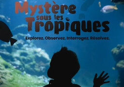 Boulogne: pour Halloween, Nausicaà vous invite à résoudre un mystère sous les tropiques