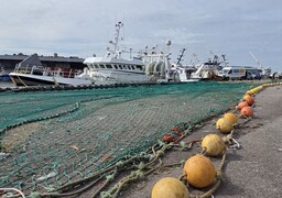 La ministre déléguée chargée de la Mer et de la Pêche, en visite à Boulogne-sur-Mer ce vendredi 14 novembre 2025