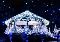Le Touquet s’illumine dès ce soir (vendredi 28 novembre) pour cinq semaines de féérie 