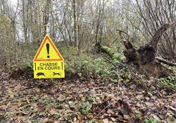 Sécurité à la chasse : dès ce week-end, des contrôles renforcés dans la Somme et partout en France