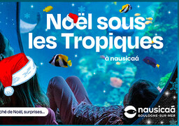 Grand jeu de noël - Gagnez vos entrées et vos abonnements Nausicaa