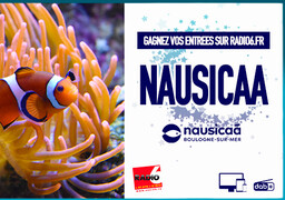 JEU WEB - Gagnez 2 entrées pour Nausicaa
