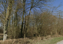 Somme : un chasseur retrouvé mort dans un bois