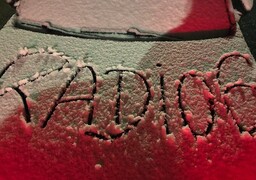 Il a neigé dans la Somme et le Pas-de-Calais