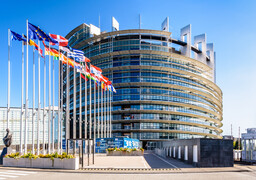 Accord Mercosur : un vote européen redonne de l’espoir aux agriculteurs