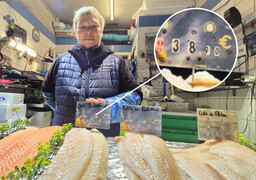 Boulogne: le cabillaud est-il devenu un produit de luxe ?