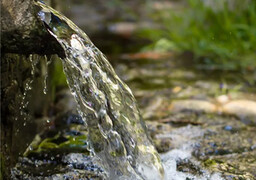 Qualité de l’eau : ce que révèle l’état des lieux de l'Agence de l’Eau Artois-Picardie pour le Montreuillois à la baie de Somme