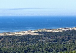 Dannes: 2 randonneurs égarés entre dunes et plage, un important dispositif déployé