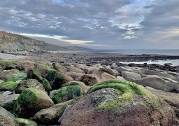 Audinghen : une femme blessée après une chute sur les rochers au Cap Gris-Nez