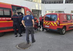 Boulogne: un soigneur de Nausicaà piqué par une raie et pris en charge par les secours