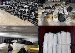 Plus de 13 tonnes de cocaïne saisies en moins de deux semaines au port de Dunkerque !
