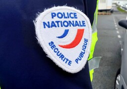 Le Portel: un chien policier permet de découvrir une mini-culture de cannabis dans un appartement