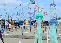 Berck-sur-Mer : les jardins du vent, l’autre spectacle magique des Rencontres de cerfs-volants