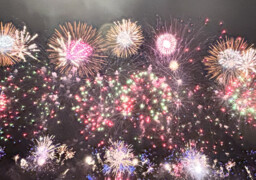 Berck-sur-mer : 100 000 spectateurs éblouis par une clôture féerique et un feu d’artifice hors norme