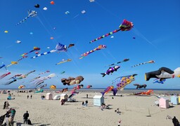 Berck mis à l'honneur ce dimanche dans l'émission