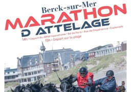 Berck-sur-Mer : le spectaculaire marathon d’attelage fait son grand retour sur la plage ce jeudi