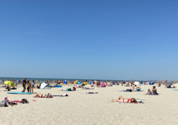 Qualité des eaux de baignade sur la Côte d’Opale et la côte picarde : le point sur la situation en 2026