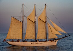 Dunkerque : un voilier historique va faire escale et proposera des sorties en mer début juin.