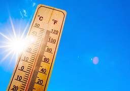 Canicule : les Hauts-de-France placés en vigilance jaune, jusqu’à 34°C attendus dès ce vendredi