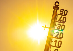 Canicule : aprés le Nord, le Pas-de-Calais et la Somme placés à leur tour en vigilance jaune, attention aux orages dès le milieu d'aprés-midi