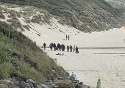 Hardelot : plusieurs dizaines de migrants sur la plage et dans l'eau, la gendarmerie fait usage du gaz lacrymogène