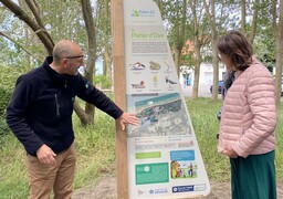 Les escapades Radio6 : À Oye-Plage, découvrez la plus grande colonie nicheuse de sternes caugek !